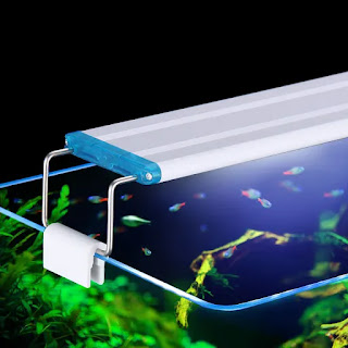 4 Tipe Lampu Aquarium Untuk Mempercantik Aquarium Anda