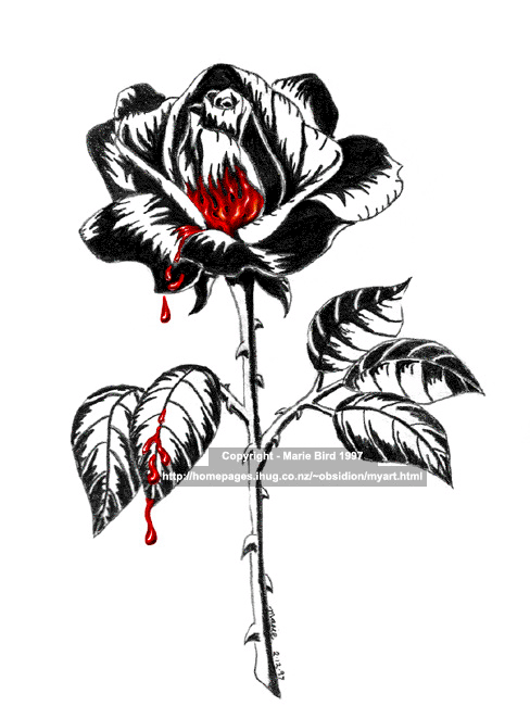 Left the lone black rose to a