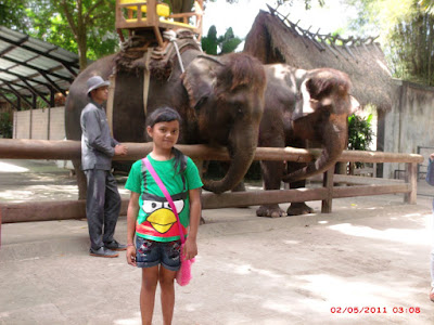 Ni Kadek Paranita Della Cahyani dengan gajah