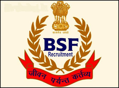 BSF Recruitment  for 31 Sub Inspector Posts 2017 @ www.bsf.nic.in