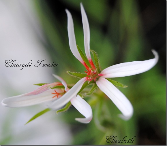 DSC_0051 DSC_0051