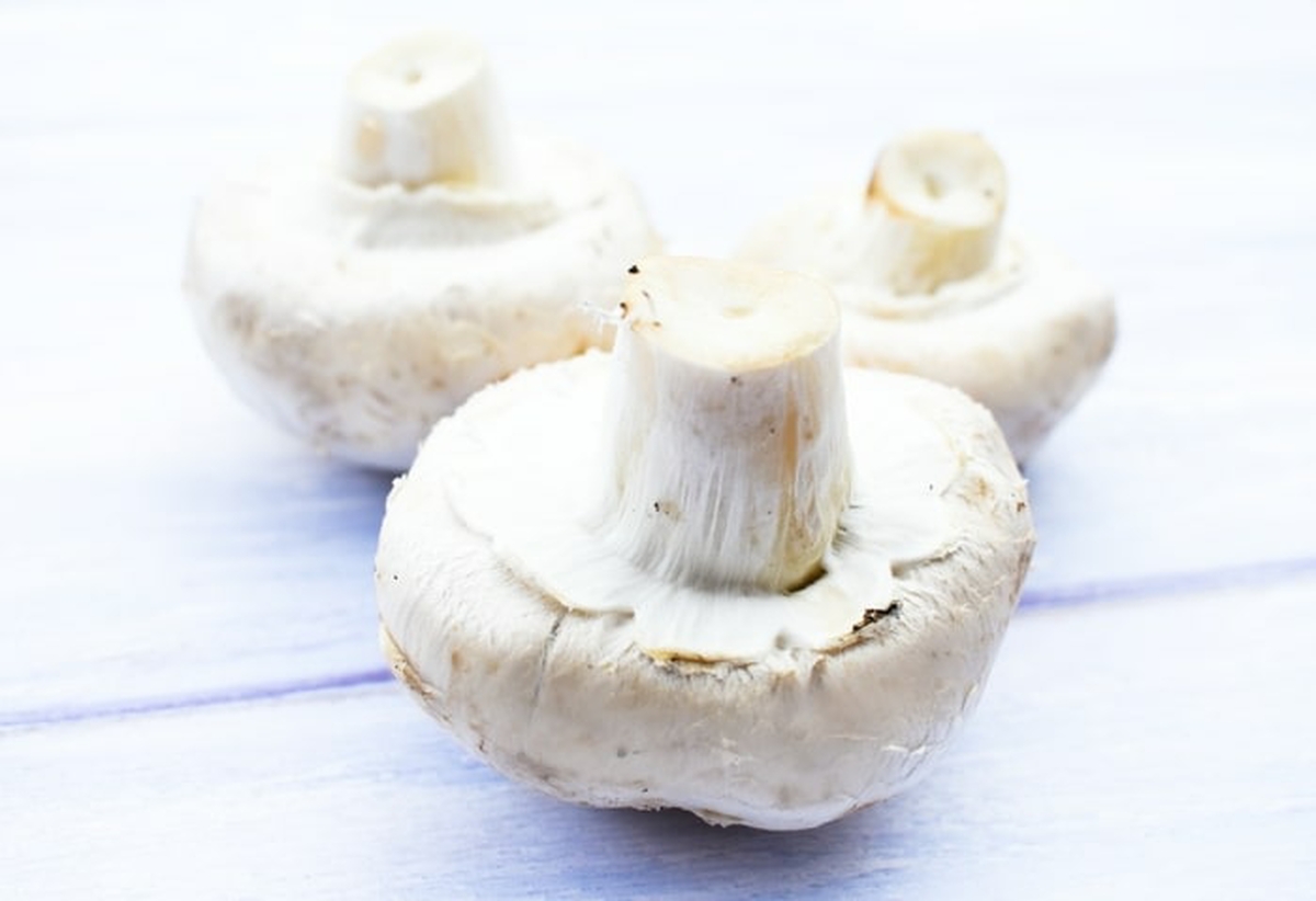 mushrooms.