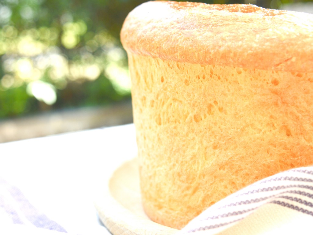 Brioche Bread Recipe with Thermomix