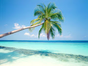 Tropical Island (tropical island)