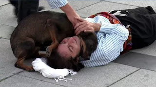 Un actor finge caer de un caballo y lesionarse, cuando un perro callejero interrumpe la escena para consolar al herido humano