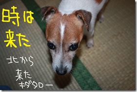 今日カズ１００９２３　１
