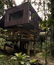 52+ Modern Jungle House Plans