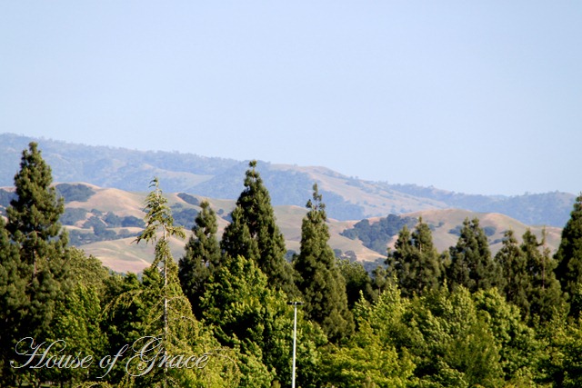 2011 05 19_5124