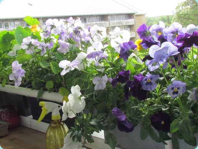 Image00274