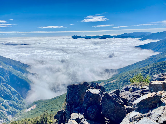 往溪頭山