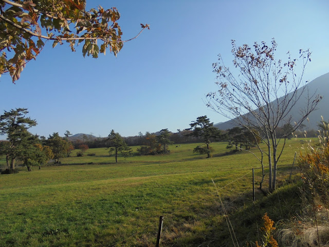 みるくの里の牧草地の風景