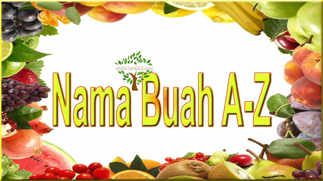  Nama  Buah Buahan Dari A Sampai Z www buahaz com