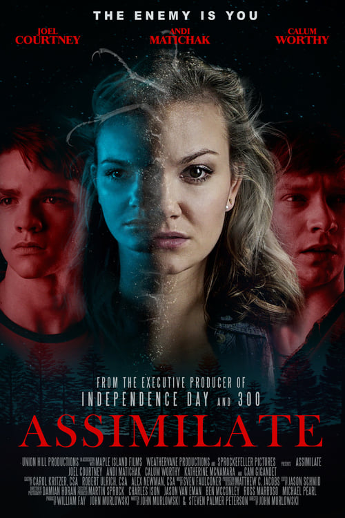 Assimilate 2019 Download ITA