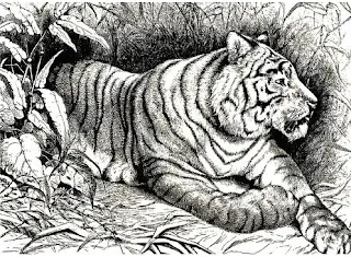 Natural history sketches among the carnivora