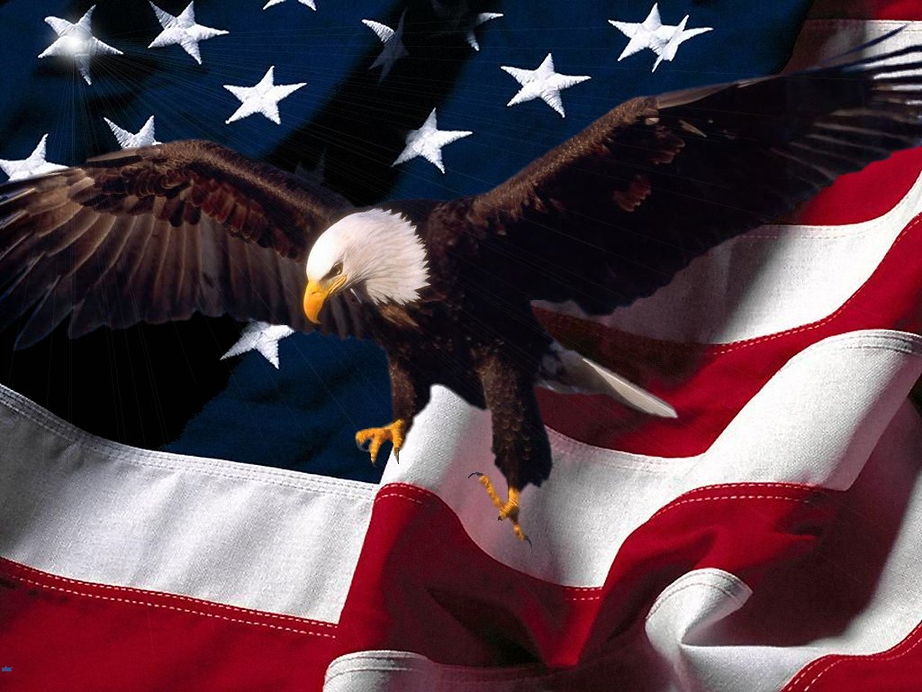 Pictures Blog: Bald Eagle with American Flag Wallpaper