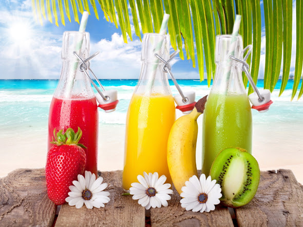 besplatne pozadine za desktop 1024x768 free download priroda plaža more palma ljeto voćni sokovi