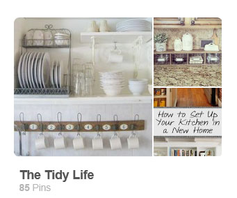 https://www.pinterest.com/thegoodvillain/the-tidy-life/