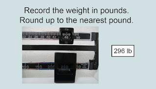 The weight is 296 lb.