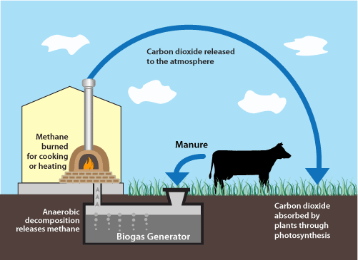 Biogas Production Cycle Pictures