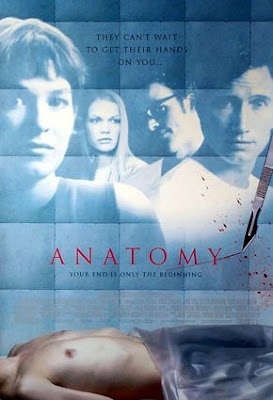 Anatomy Poster