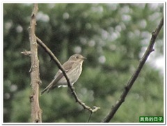 20111104_150806_001_4kanShui