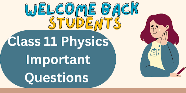 Important Questions for Class 11 Physics 