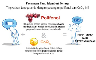 Coq10; TTC; Kesihatan sperma; Kulit cantik; kuatkan otot jantung; Shaklee labuan; ejen shaklee labuan; cegah penyakit nyanyuk