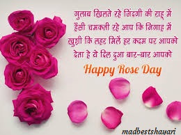 Rose Day Image