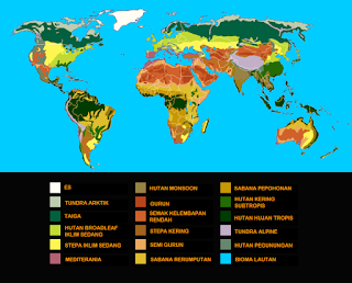 Persebaran bioma di dunia