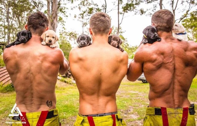Calendario bomberos australianos