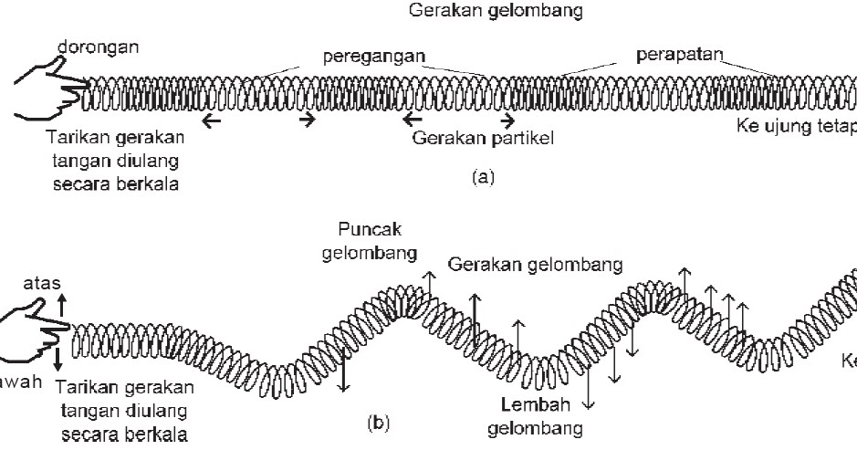 Macam-macam, Jenis-jenis Gelombang, Berdasarkan Arah 