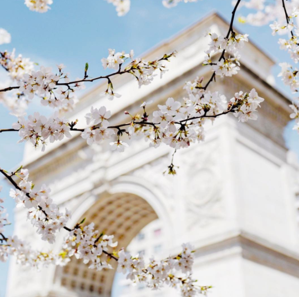 Washington Square Park | with @newyorkcity instagram