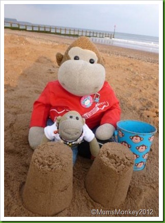 Sandcastles Dawlish Warren