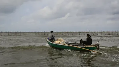 Diduga Dalang Pagar Laut Tangerang, Agung Sedayu Bisa Dipidana karena Menjarah Aset Negara