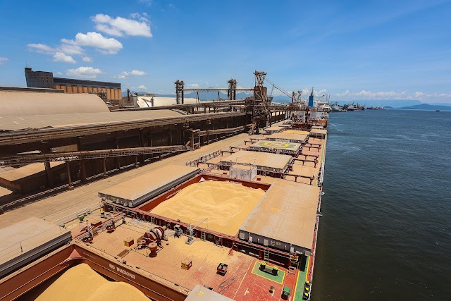 China recebe 91,8% da soja exportada pelo Porto de Paranaguá