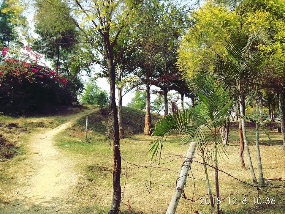 Park Area