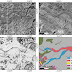 Paleoseismic investigations through earthquake induced liquefaction features can trace earthquake history & prepare for future