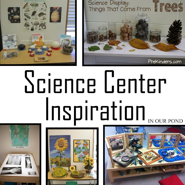 Science Center Inspiration from In Our Pond