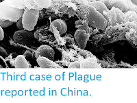 https://sciencythoughts.blogspot.com/2019/11/third-case-of-plague-reported-in-china.html