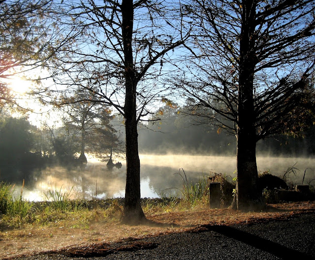 Lake Fausse Point State Park, Louisiana. Morning mist. November 2013. Credit: Mzuriana.