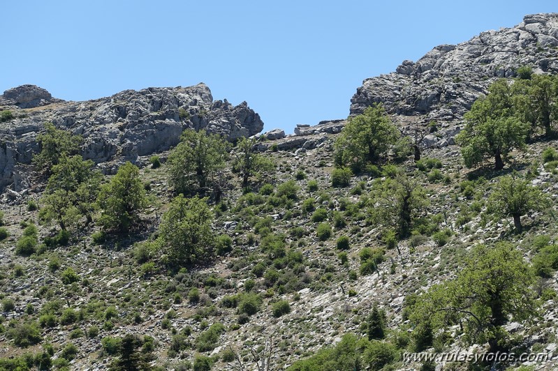 Mirador del Caucon-Tajo de la Caina-Peñón de los Enamorados