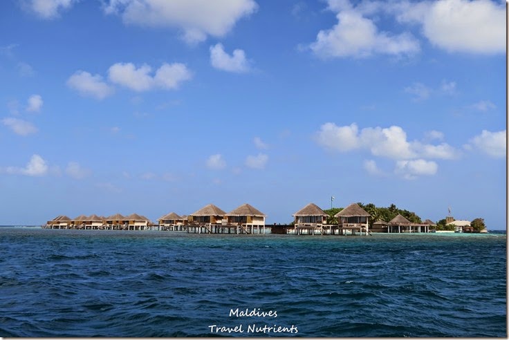 馬爾地夫居民島Mahibadhoo- Amazing Guesthouse (5)