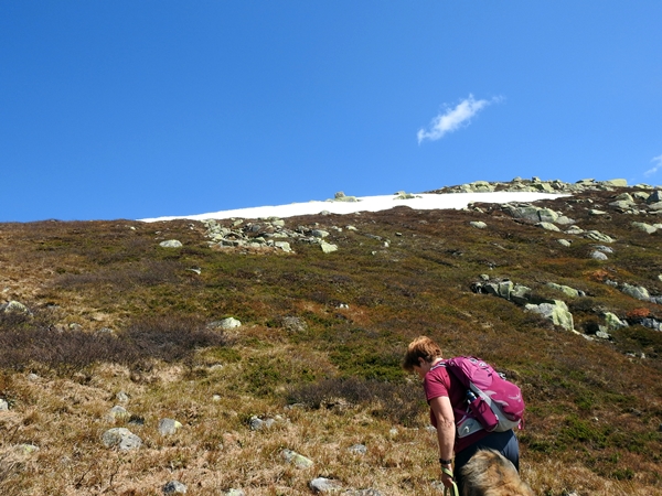 Vassfarstien fra Pukla til Ørneflag  Dyttholfjellet