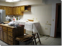 kitchen remodel
