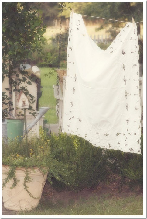 clothesline 038