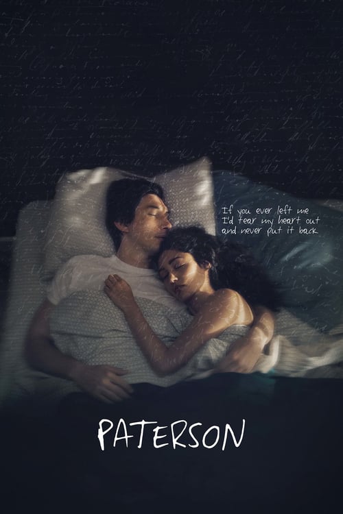 [HD] Paterson 2016 Pelicula Online Castellano