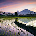 History Of Pagaralam