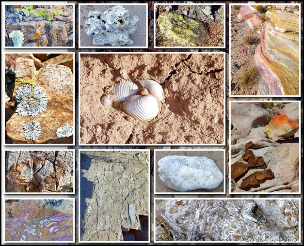 2012 Rocks and Lichen