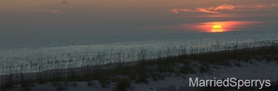 Gulf_Shores_11_15_2012_1554.NEF