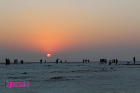 What To Do During Rann Utsav, Detailed Itinerary For A Day At The White Desert